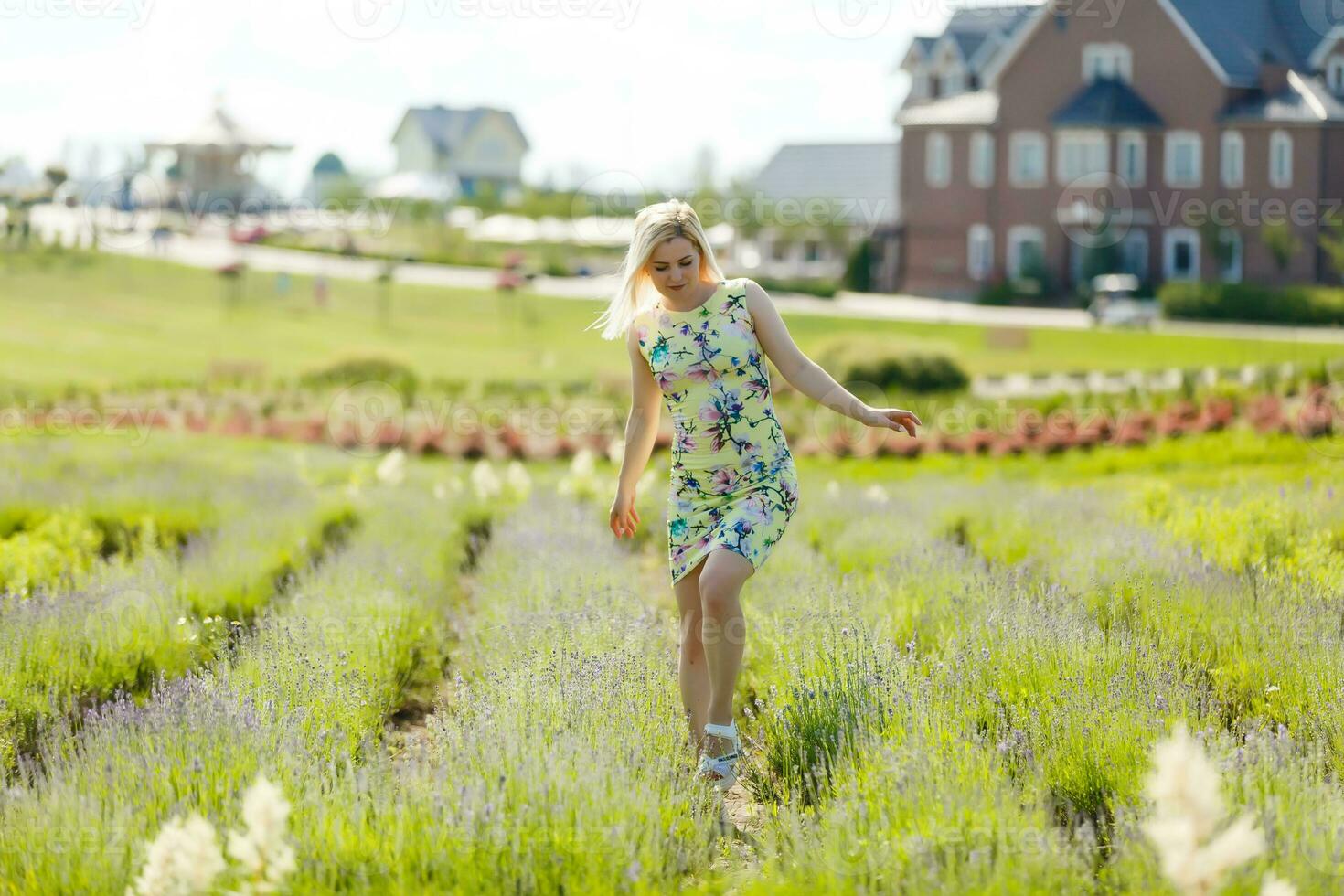 vrouw staand Aan een lavendel veld- foto