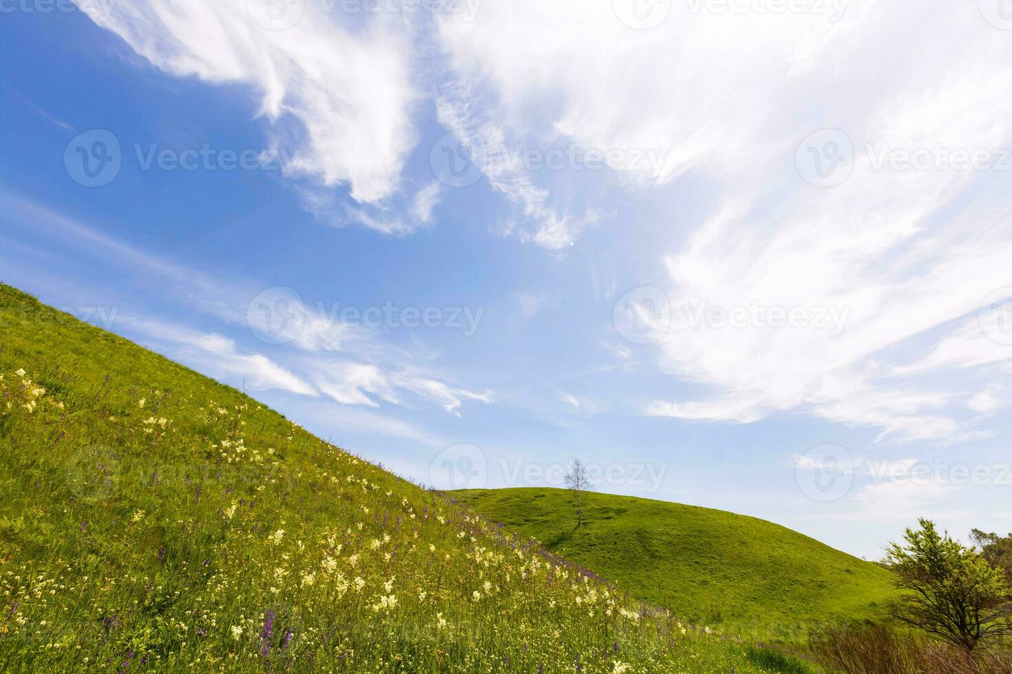 breed groen velden met een kloof foto