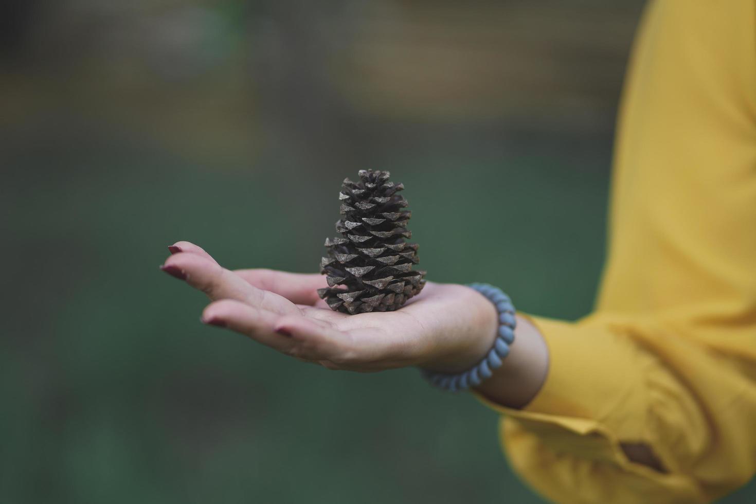 jonge hipster blanke vrouw houdt dennenappel in het bos foto