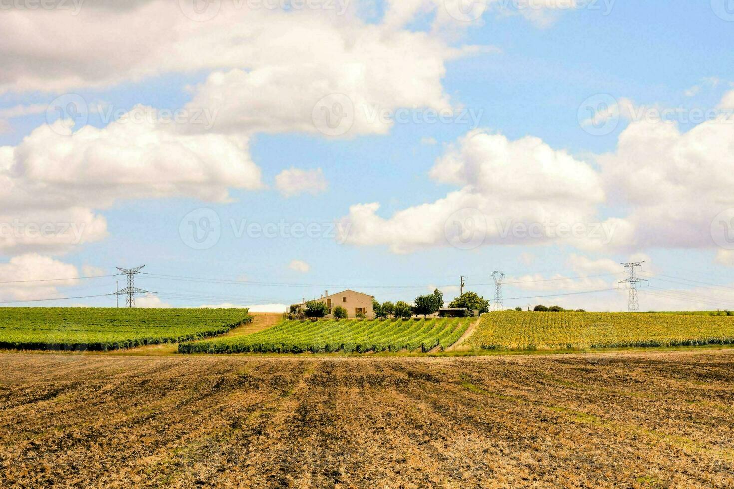 een boerderij veld- met een huis in de afstand foto