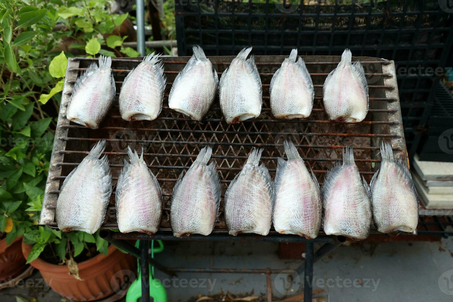 droog vis Aan de rooster in de markt, thailand. foto