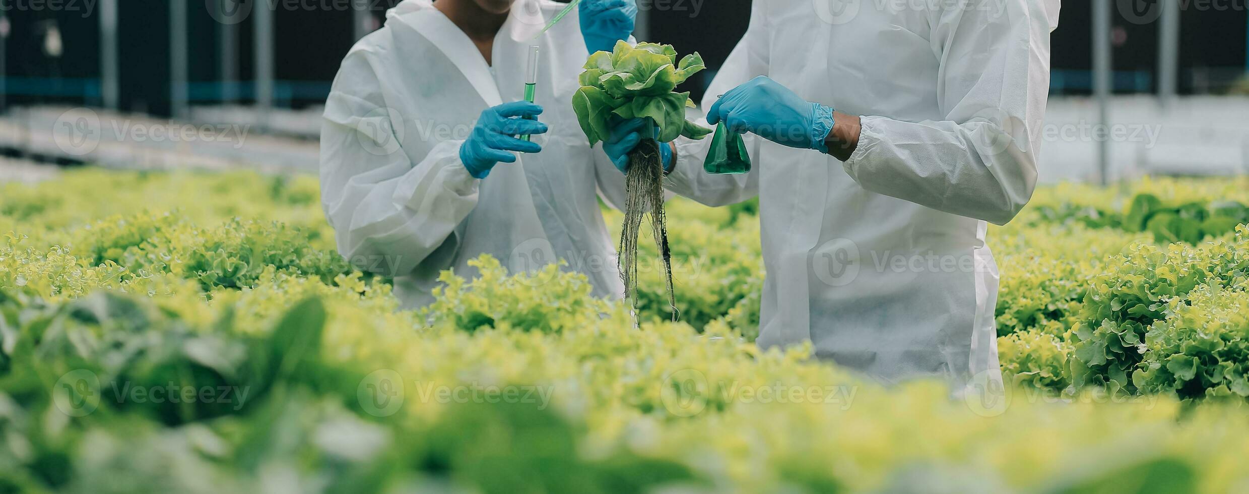 Mens en vrouw gebruik een test buis en een pipet terwijl werken in een serre. foto