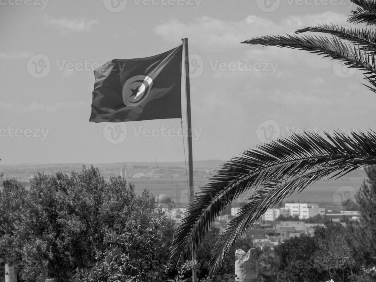 de stad tunis in tunesië foto