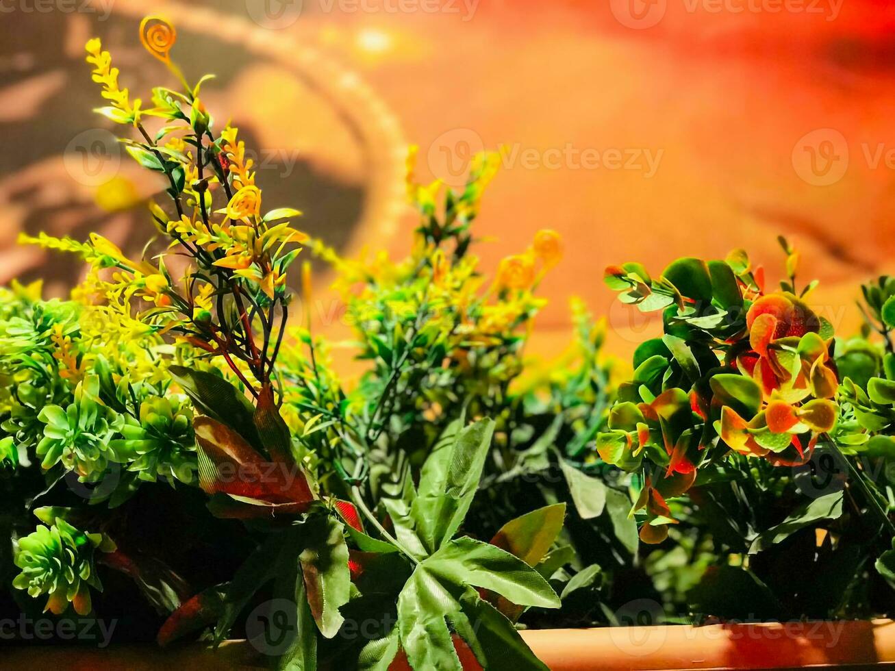 een bloem pot met planten in het foto