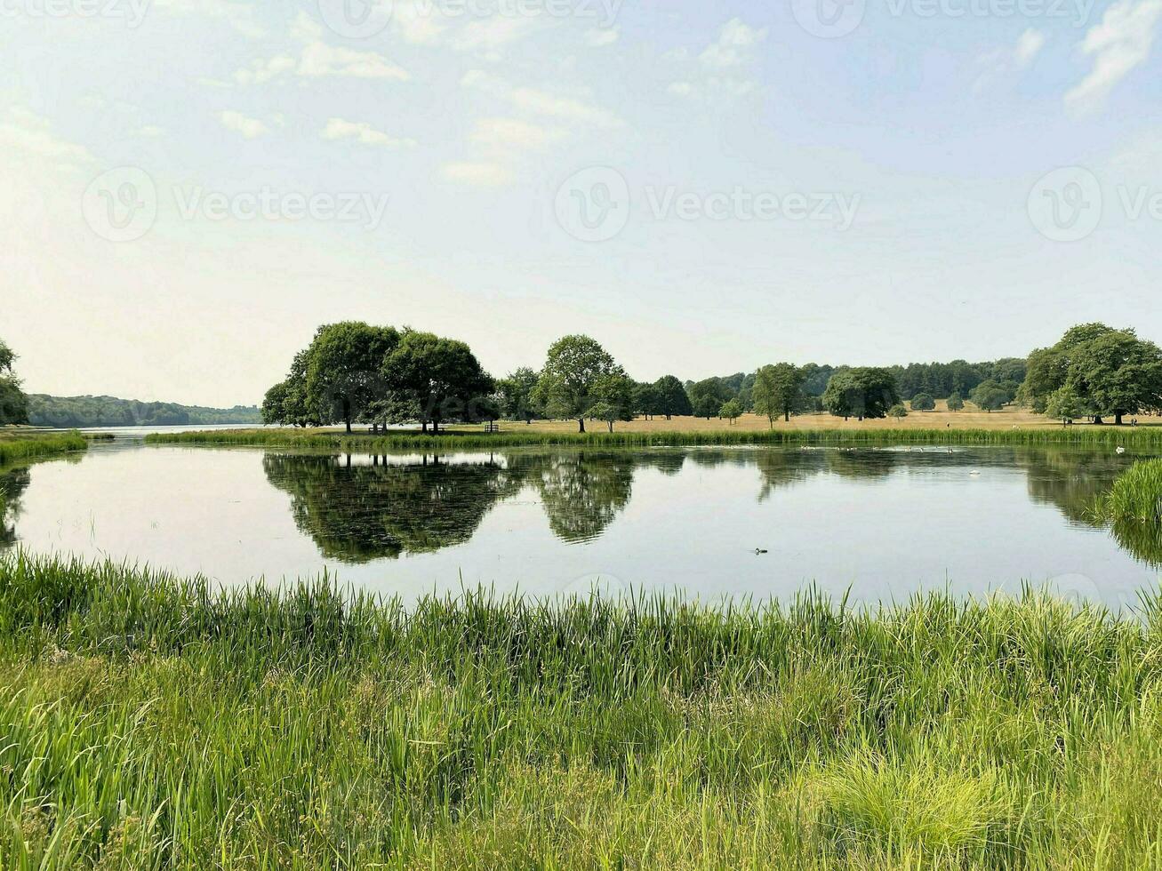 een visie van de Cheshire platteland in de zomer in de buurt knusford foto