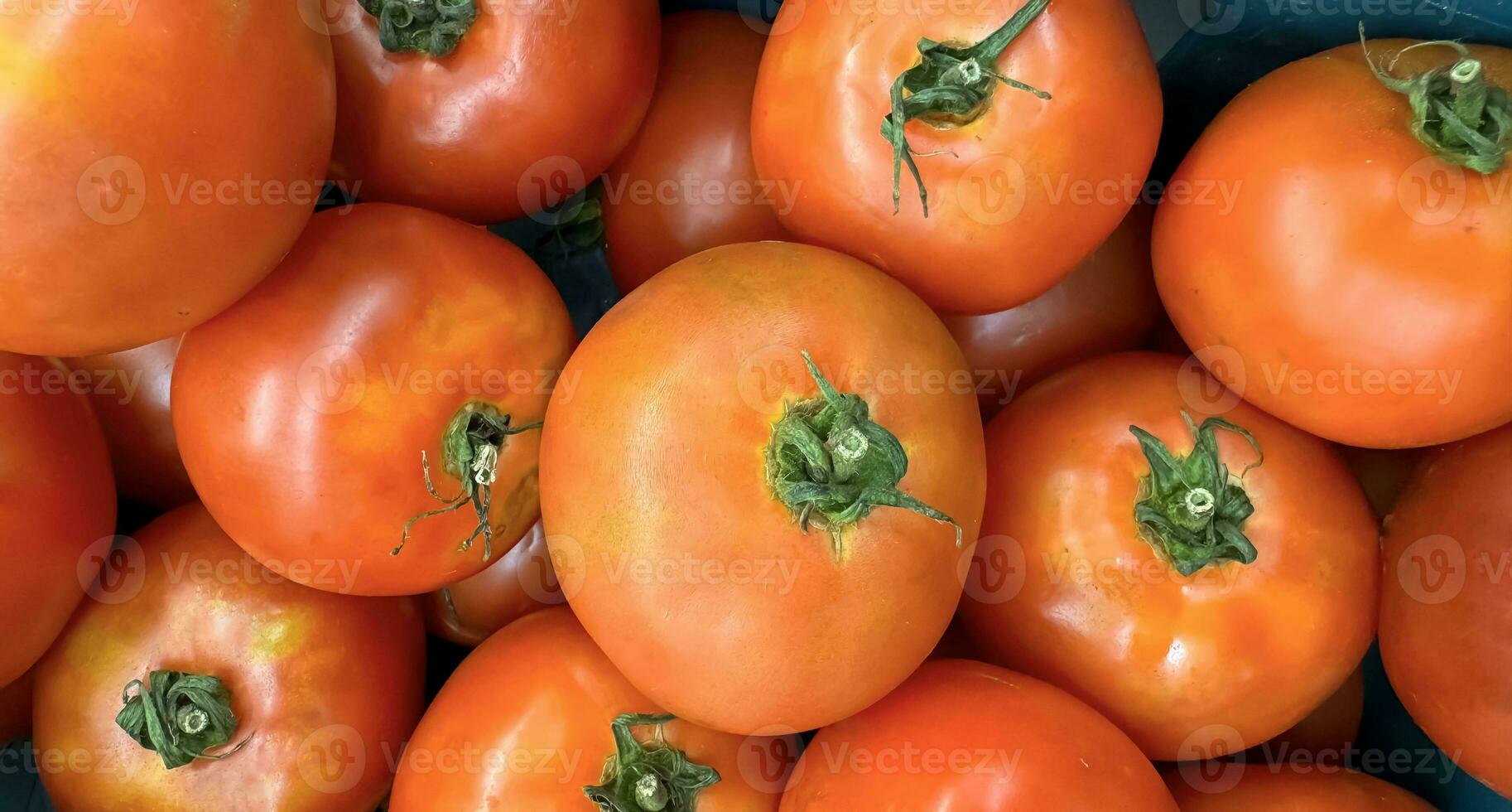 groep van tomaten aan het liegen Aan een stapel Aan top van elk ander, tomaat textuur. selectief focus, voor inhoud creatie foto