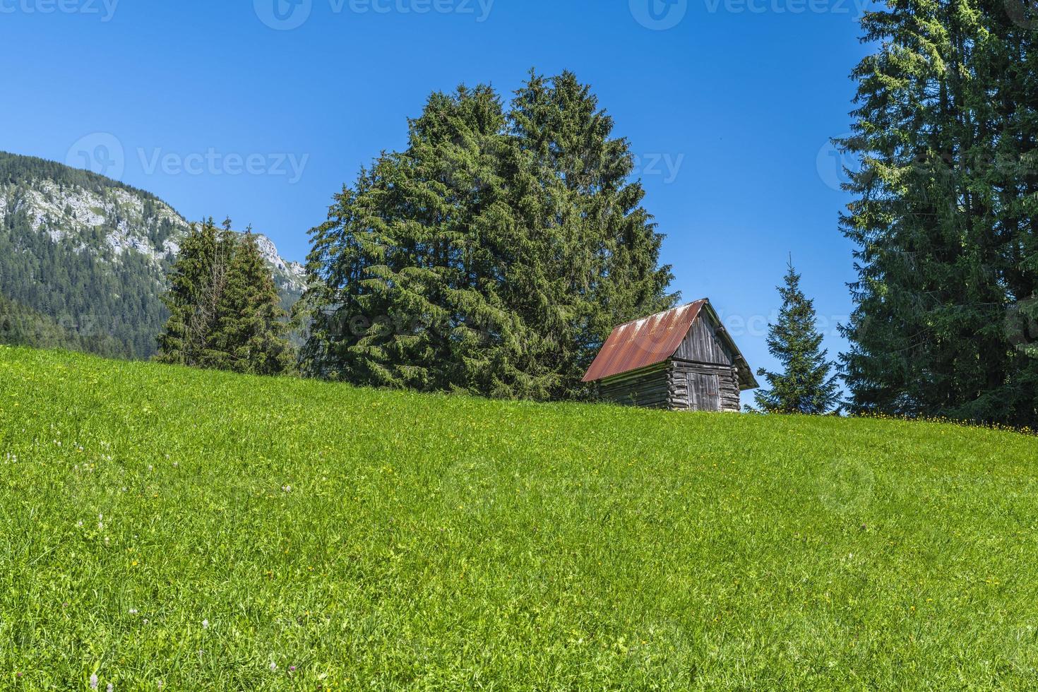 een glimp van het bergstadje Sappada foto