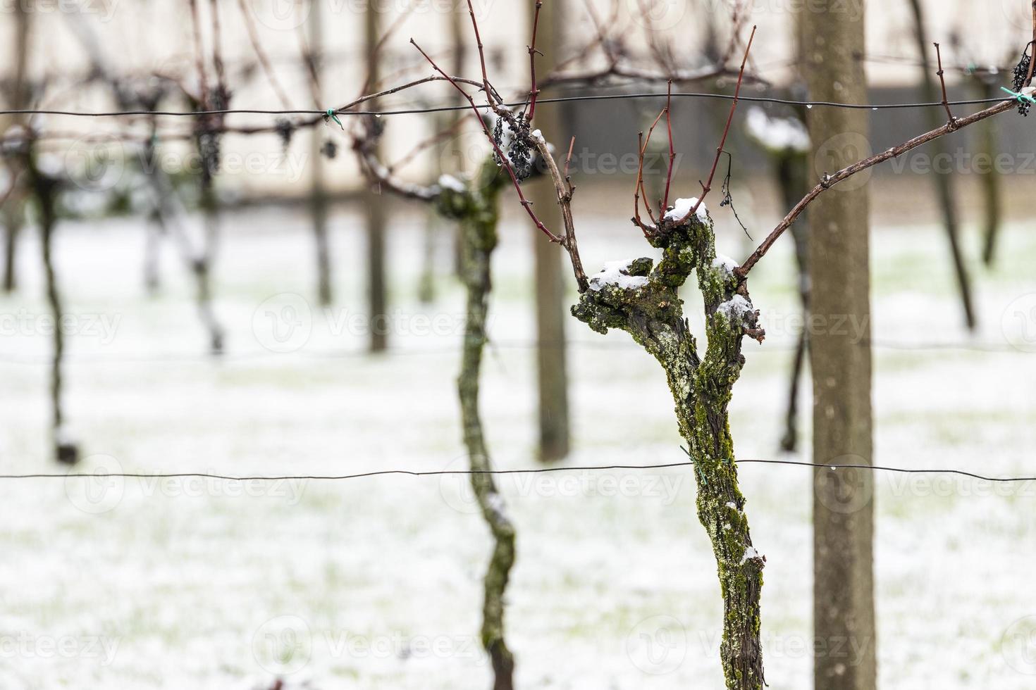 eerste sneeuw op de heuveldorpen. tussen herfst en winter foto