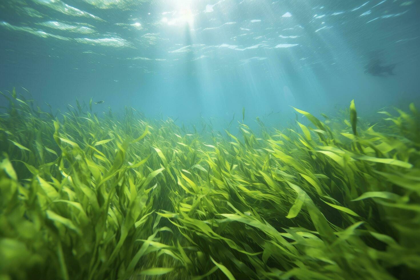 ai gegenereerd onderwater- visie van een groep van zeebedding met groen zeegras. ai gegenereerd foto