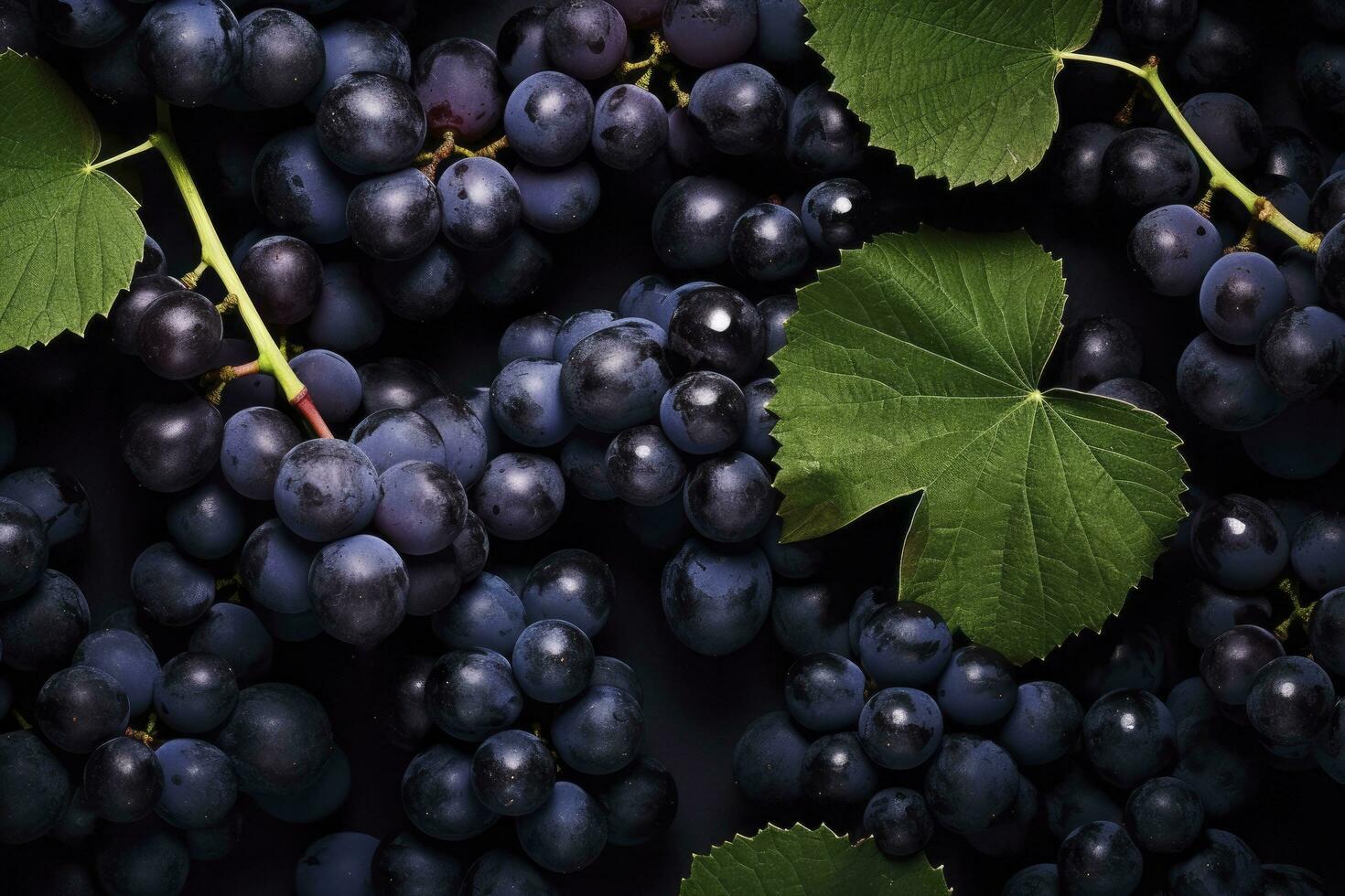 ai gegenereerd vlak leggen achtergrond van wijnstokken, veel van biologisch blauw donker druiven. ai gegenereerd foto