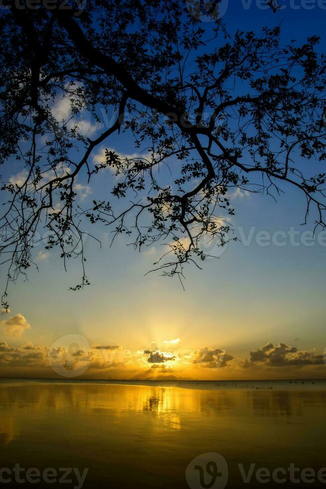 zonsondergang lucht en silhouetten boom Aan de meer Bij zuiden van Thailand. foto
