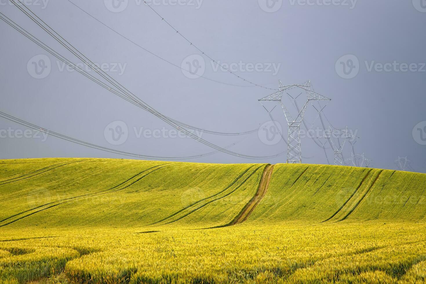 hoog Spanning elektrisch pool en transmissie lijnen over- gouden tarwe veld- met weg foto