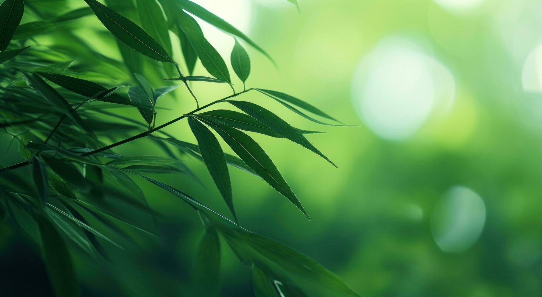 ai gegenereerd groen takken Aan de bladerrijk takken met zonlicht. foto