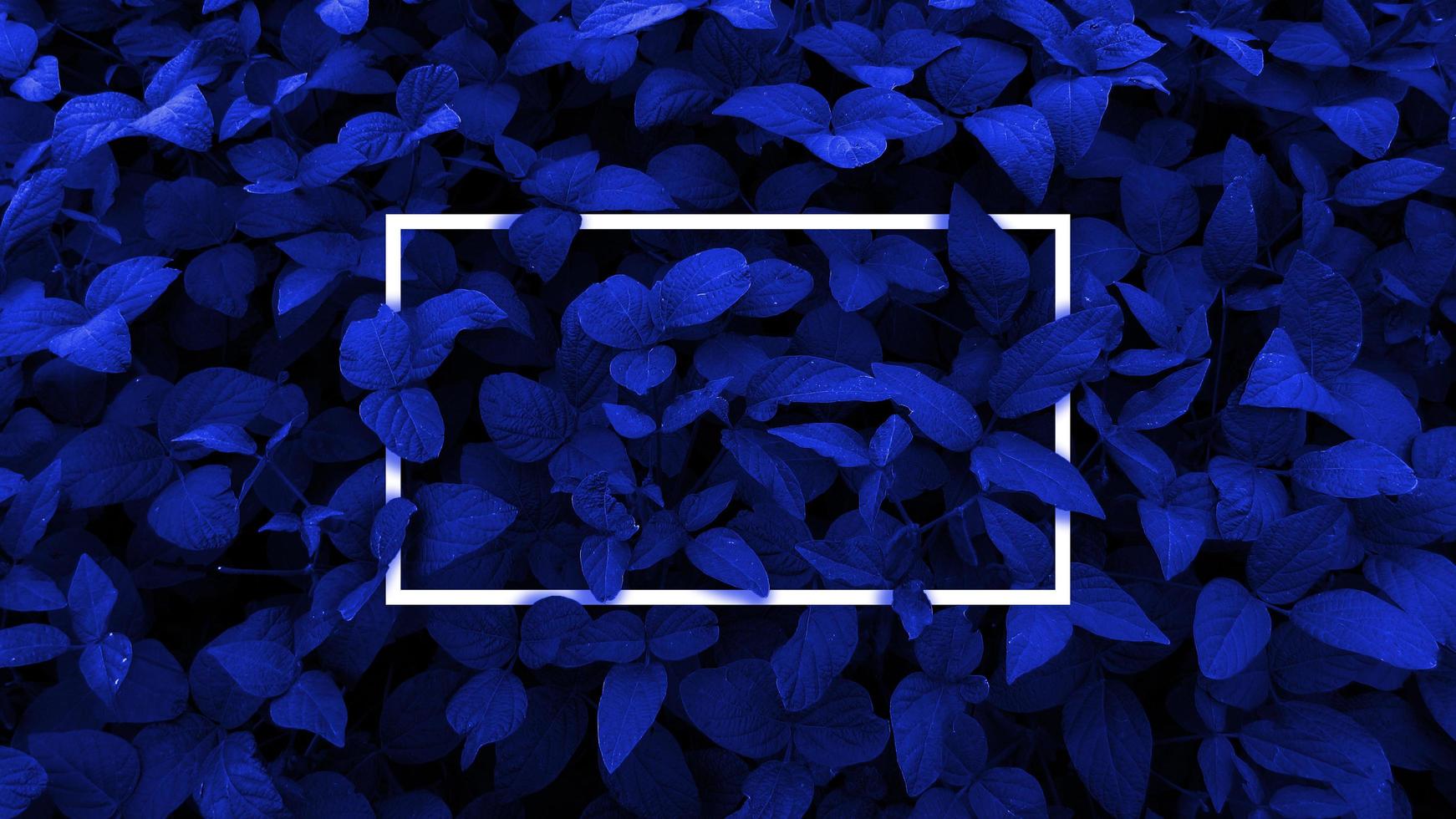 creatieve lay-out gemaakt met blauwe bladeren achtergrond, vierkant frame. dit is een blanco voor reclamekaart. natuur concept. herfst affiche. foto