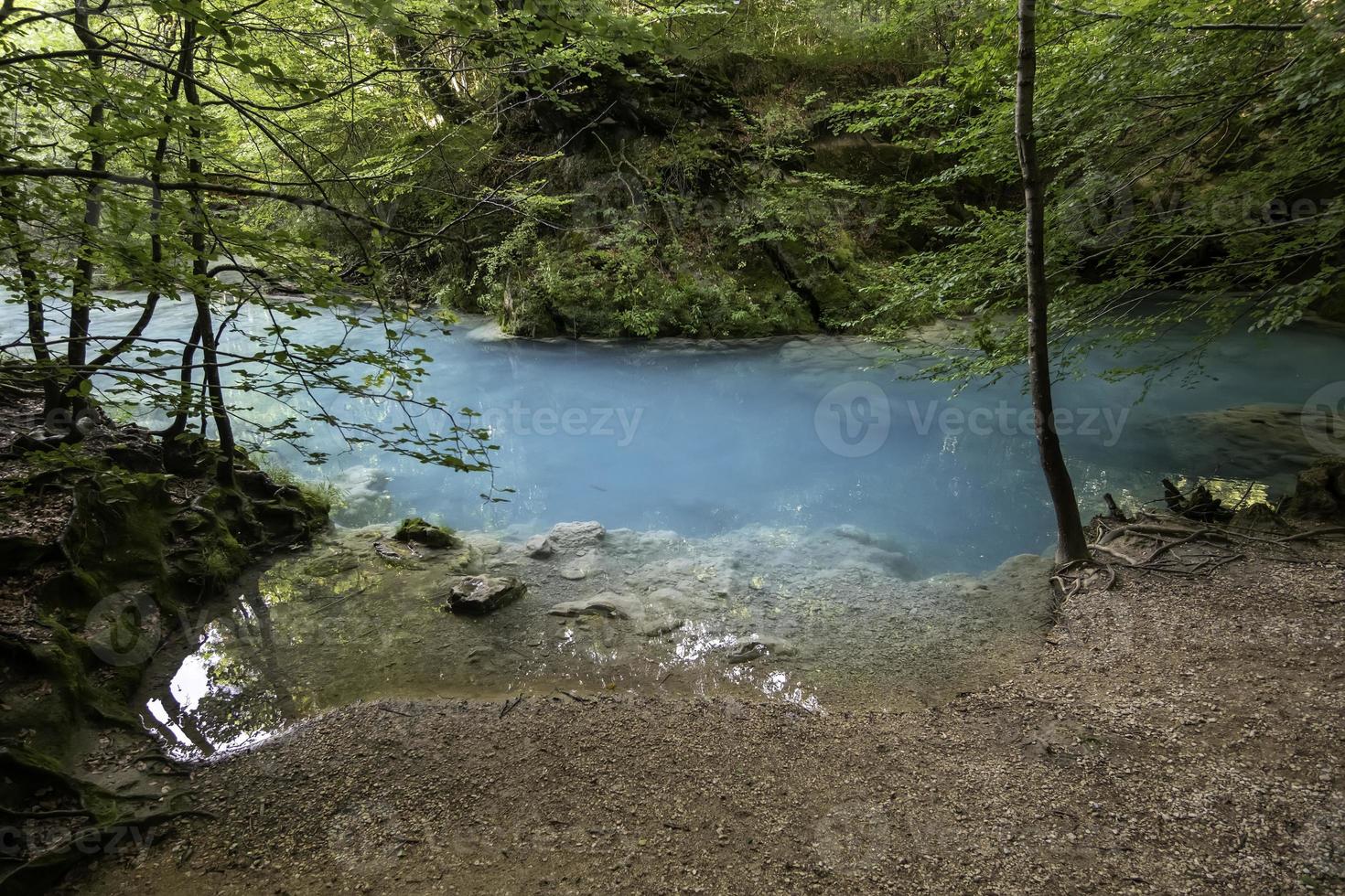 kristalhelder water in een wild bos foto