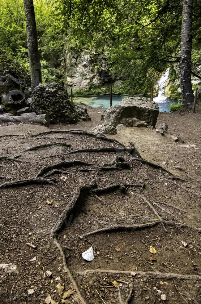 waterval in een wild bos foto