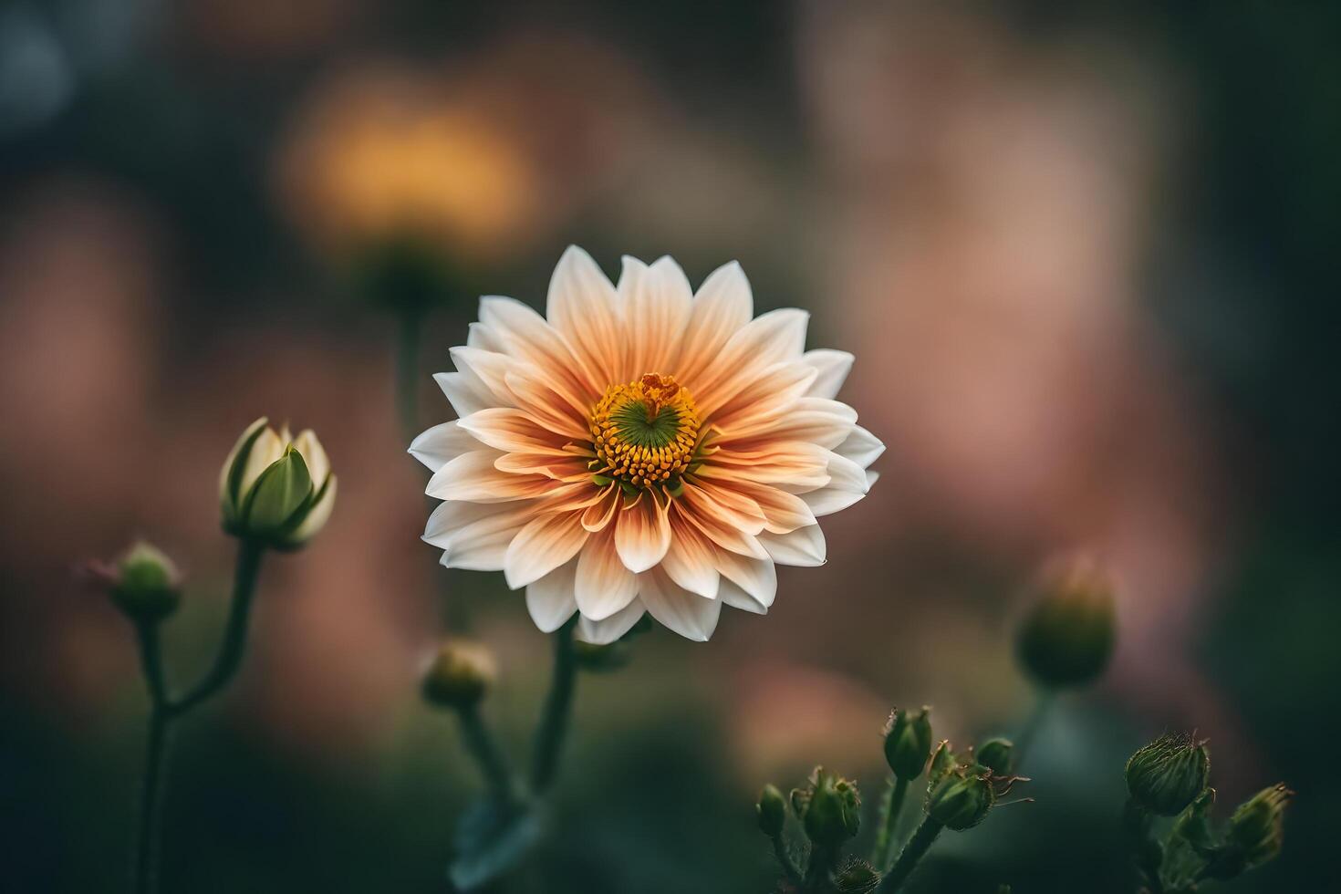 ai gegenereerd een single oranje bloem met een wazig achtergrond foto