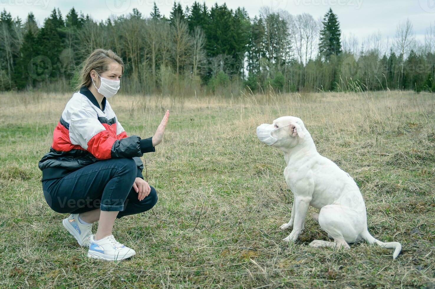 een jong meisje en een hond in medisch maskers Speel in natuur. foto