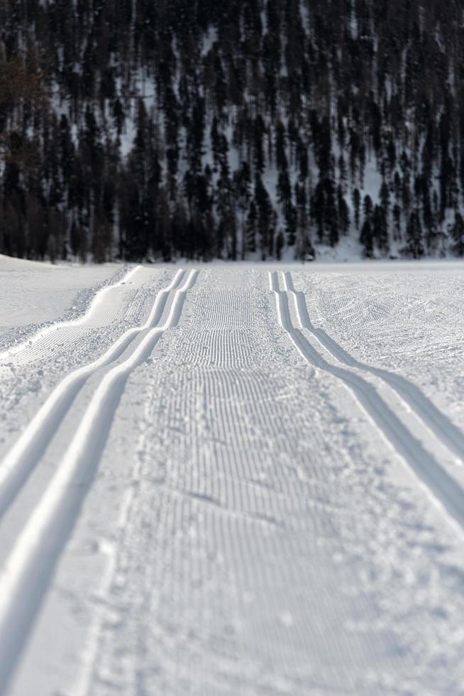 dubbelspoor nordic skiën foto