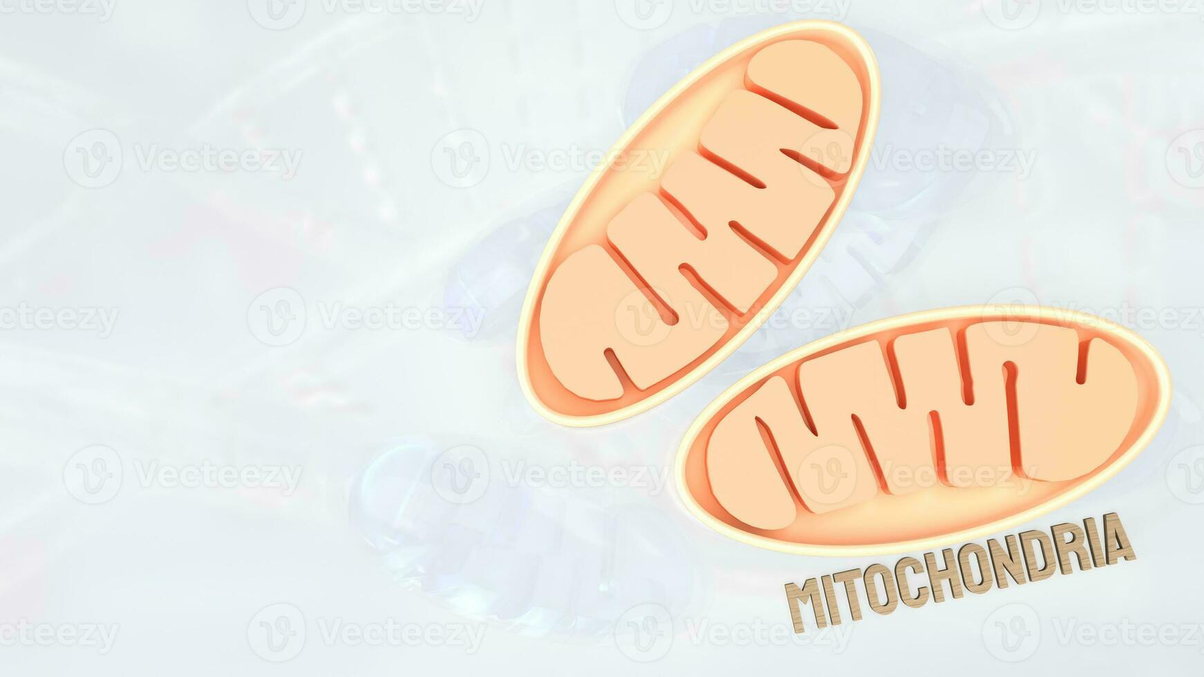 de mitochondriën voor sci of Gezondheid concept 3d weergave. foto