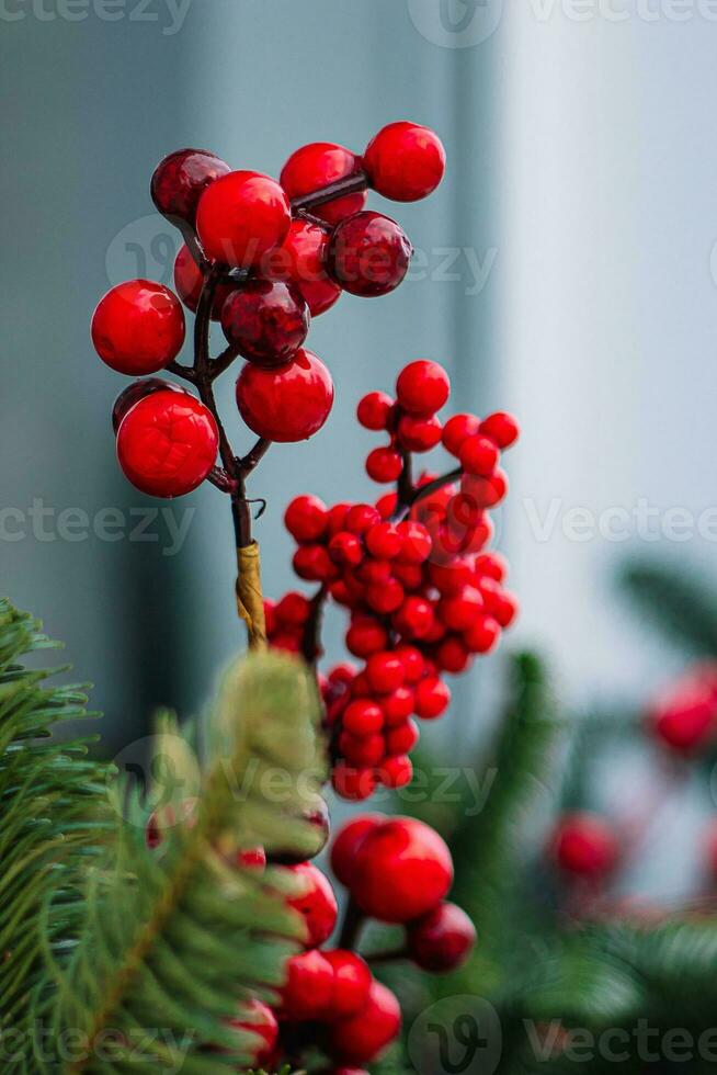 Kerstmis decoraties Aan venster. Spar takken met rood bessen. foto