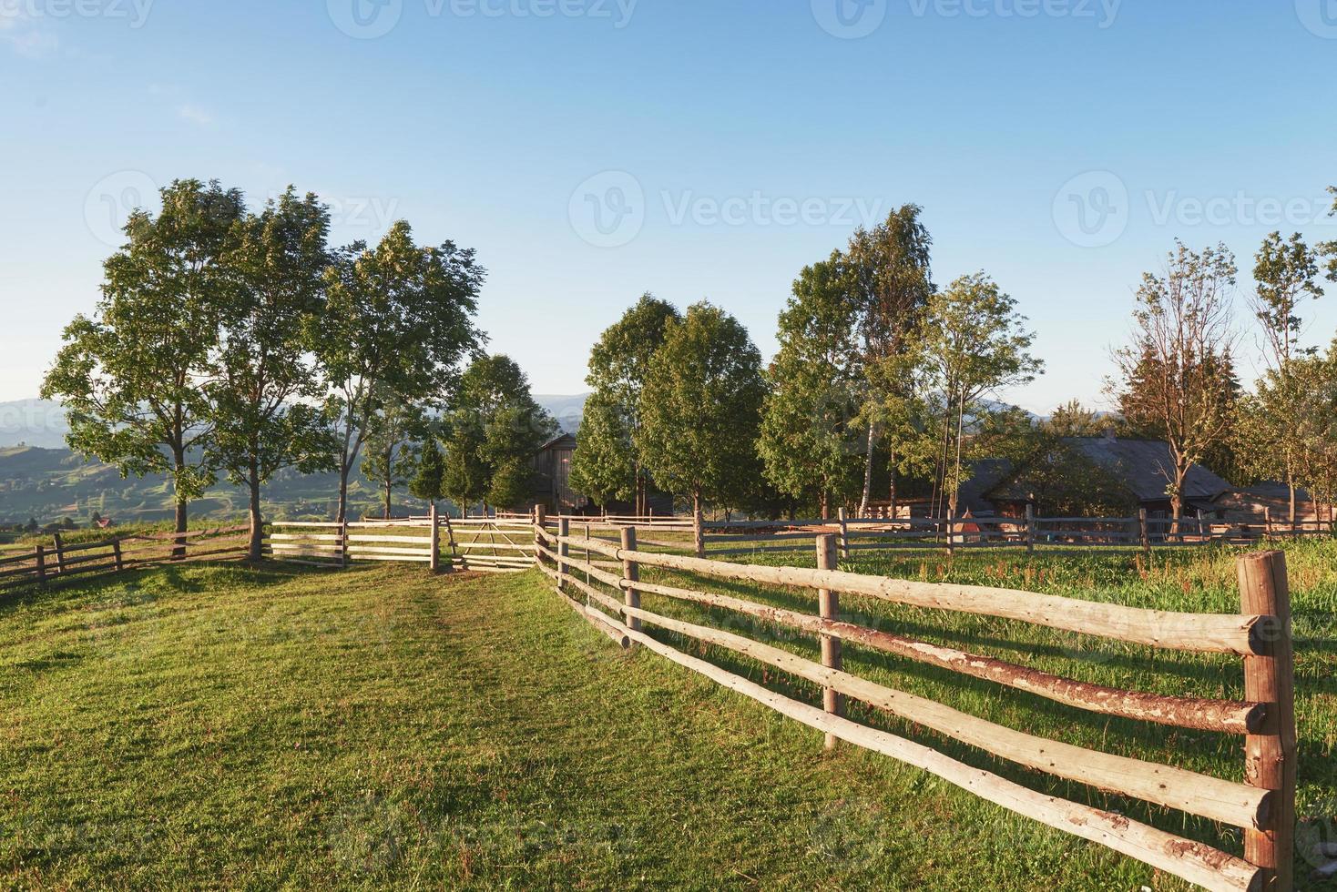 mooi zomers berglandschap bij zonneschijn. Uitzicht op de omheinde weide en koeien die erop grazen foto