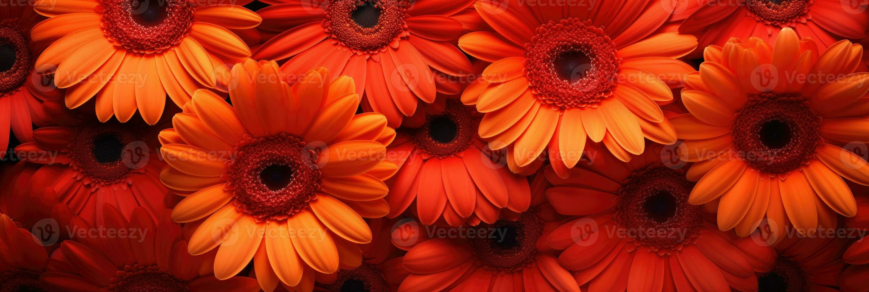 ai gegenereerd intens vurig rood gerbera madeliefje weelderig kleur regeling voor st valentijnsdag dag conceptuele achtergrond foto