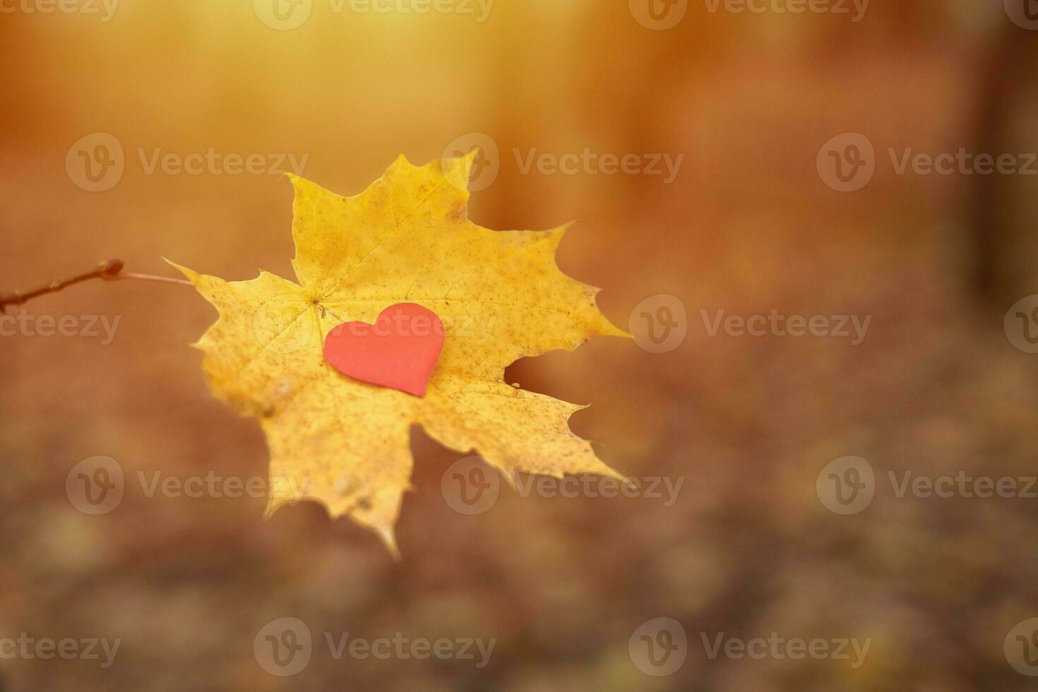 Open zuiver hart symbool, kopiëren ruimte foto