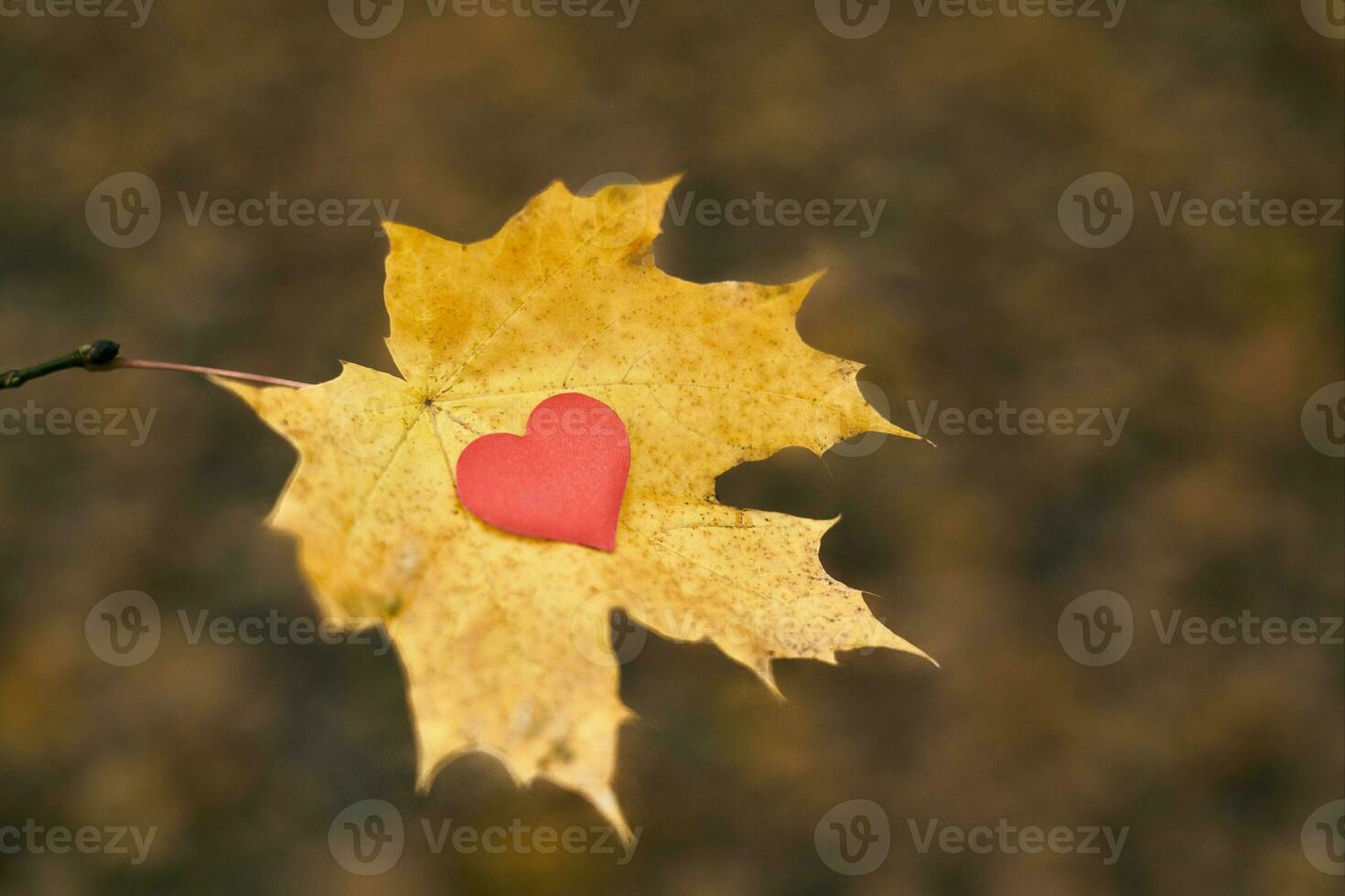 Open zuiver hart symbool, kopiëren ruimte foto