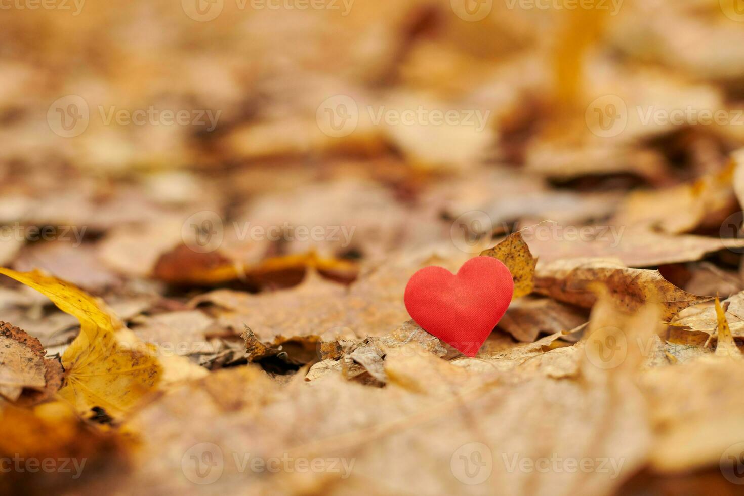 verliefdheid, eenzijdig romantisch liefdesconcept foto