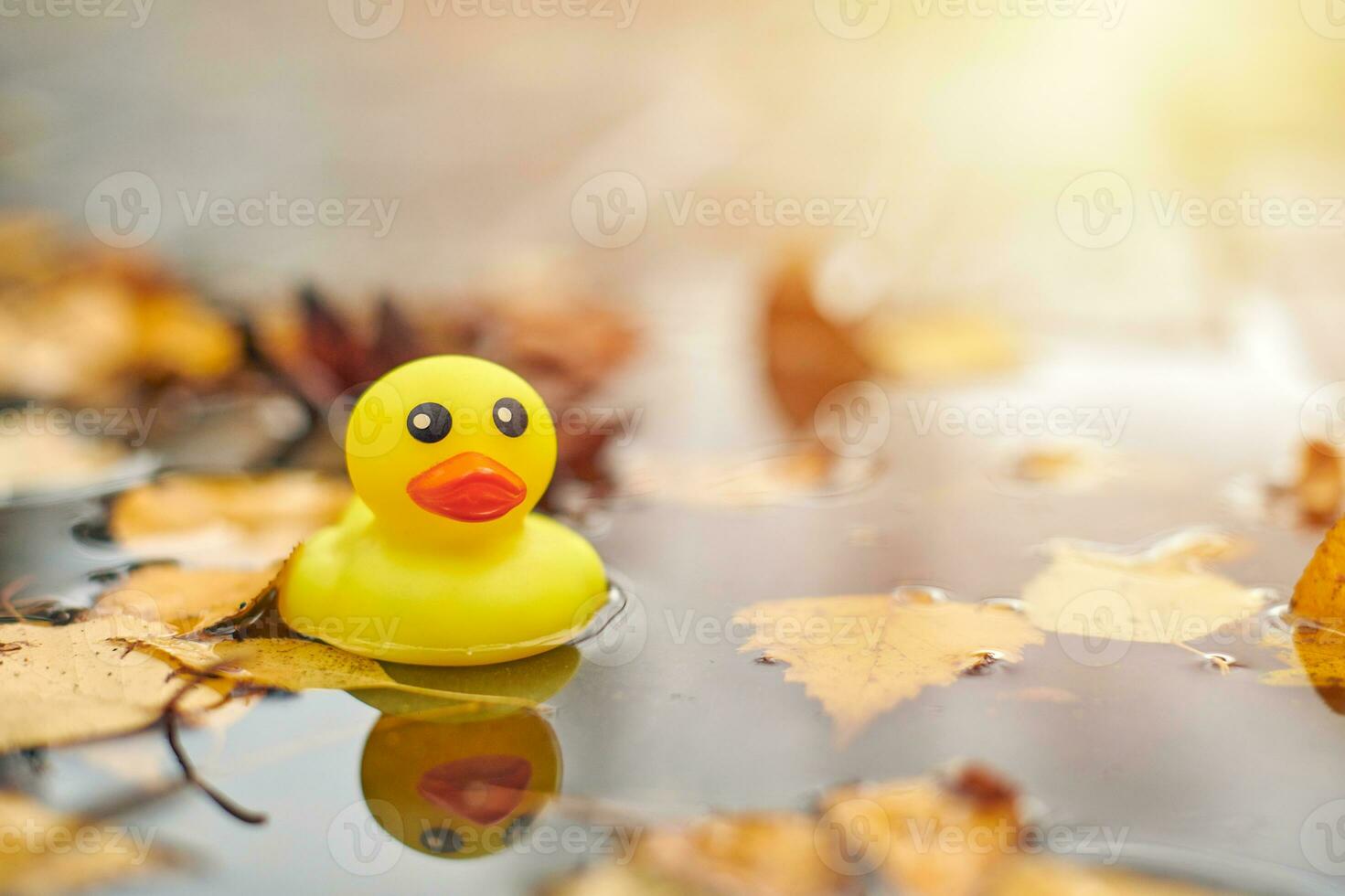 herfst eend speelgoed in plas met bladeren foto