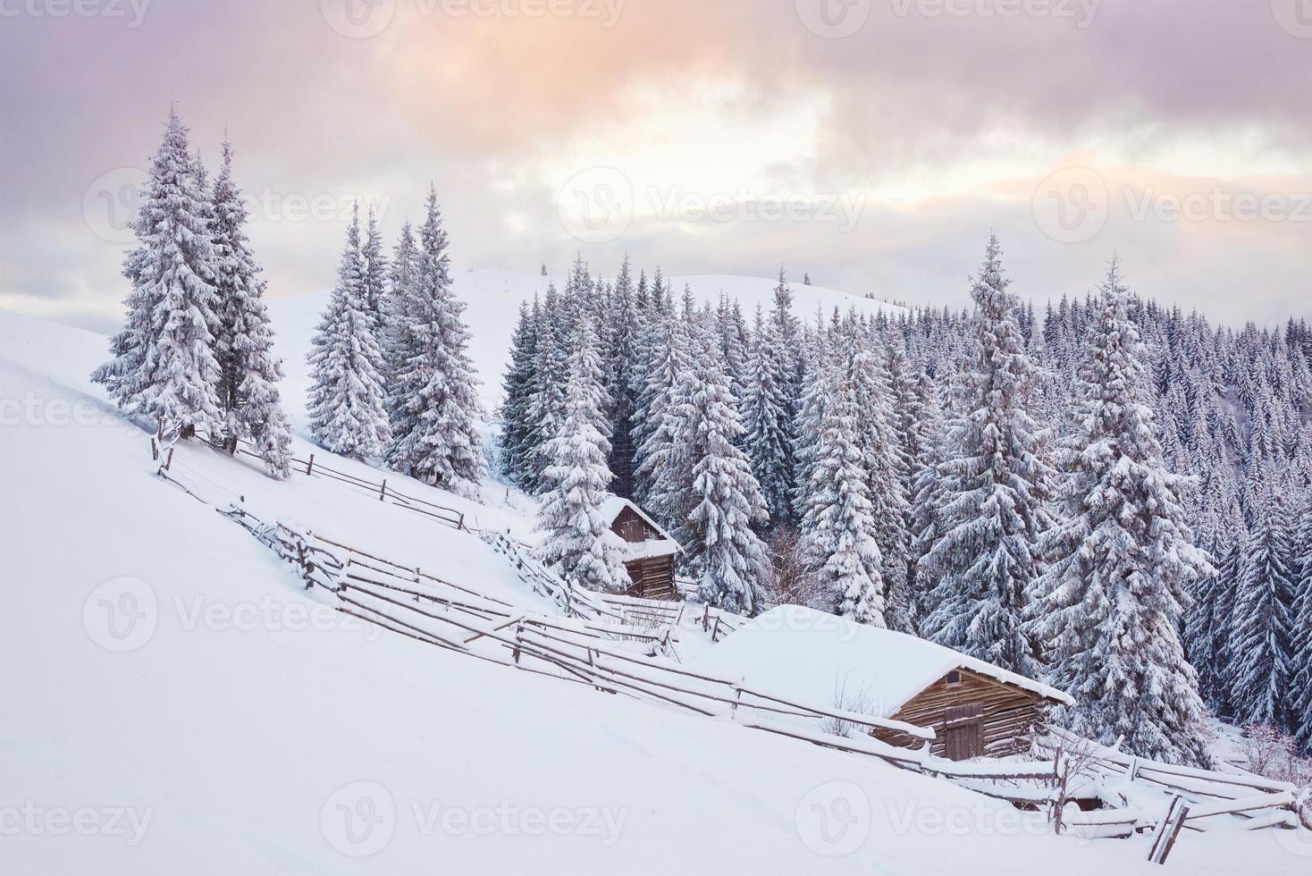 gezellige houten hut hoog in de besneeuwde bergen. grote pijnbomen op de achtergrond. verlaten kolyba herder. bewolkte dag. karpaten, oekraïne, europa foto