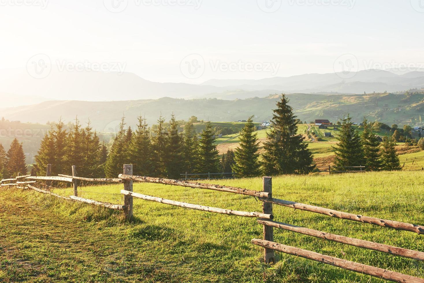 Karpatische bergen. de foto is hoog in de Karpaten genomen. mooie lucht en heldergroen gras, brengen de sfeer van de Karpaten over. in de Karpaten, een heel mooi landschap