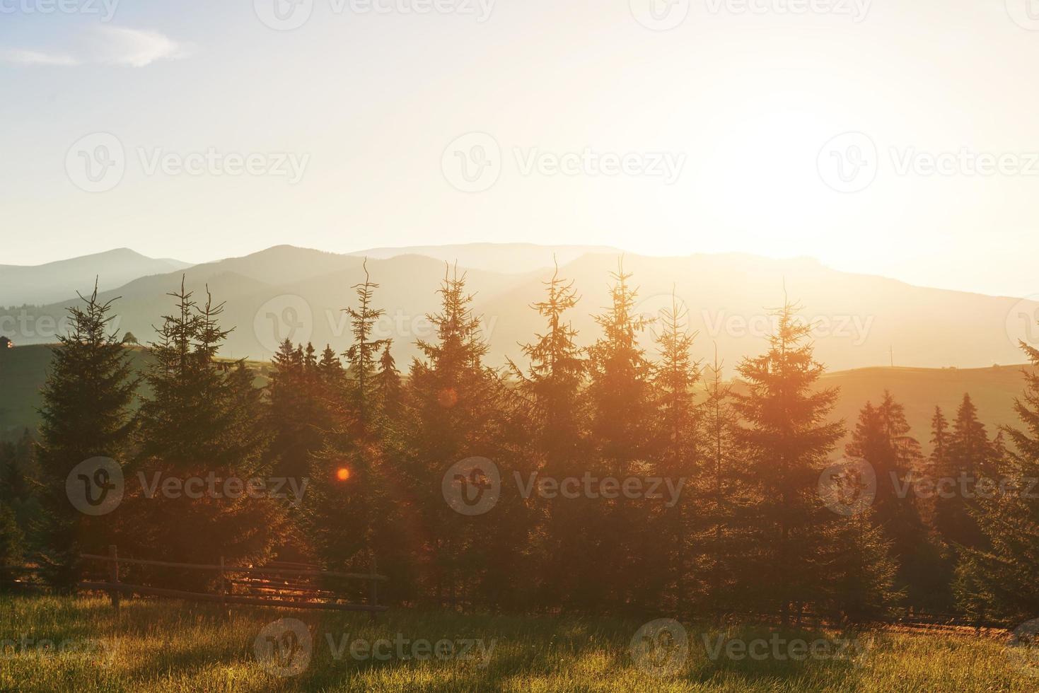 mooi herfstzonsopganglandschap in de Karpaten, Europa reizen, West-Oekraïne, Karpaten Nationaal Park, wondere wereld, behanglandschapsachtergrond foto