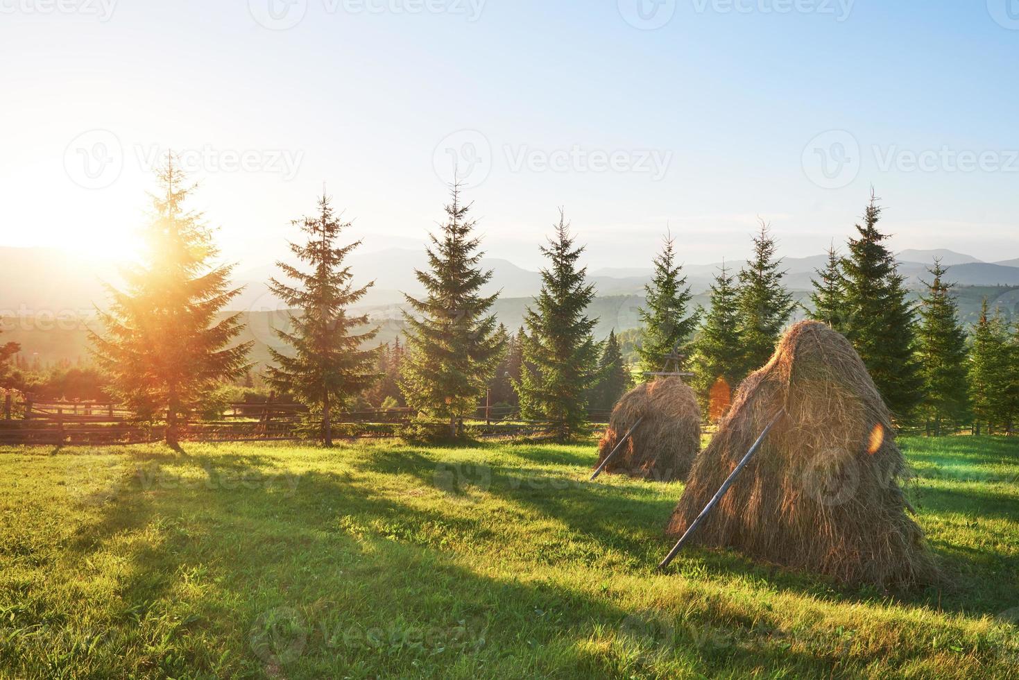 hooiberg op zonsondergang. weide, stuk grasland, vooral een hooiland. karpaten, oekraïne foto