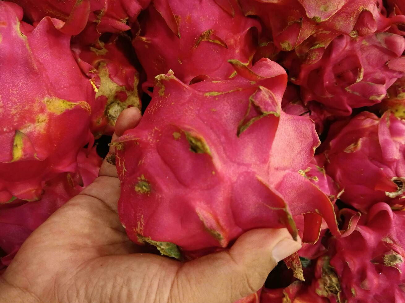 natuur afbeelding. tropisch fruit, de detailopname achtergrond van vers roze draak fruit foto