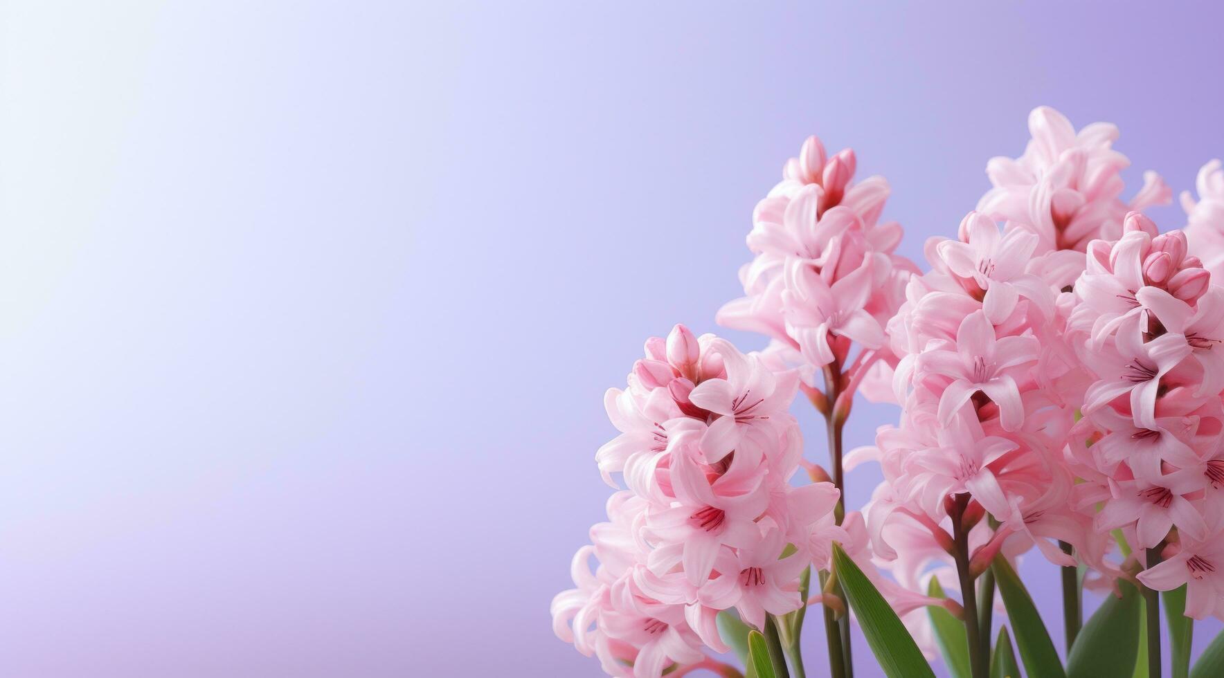 ai gegenereerd hyacinten tegen een vlak roze achtergrond foto