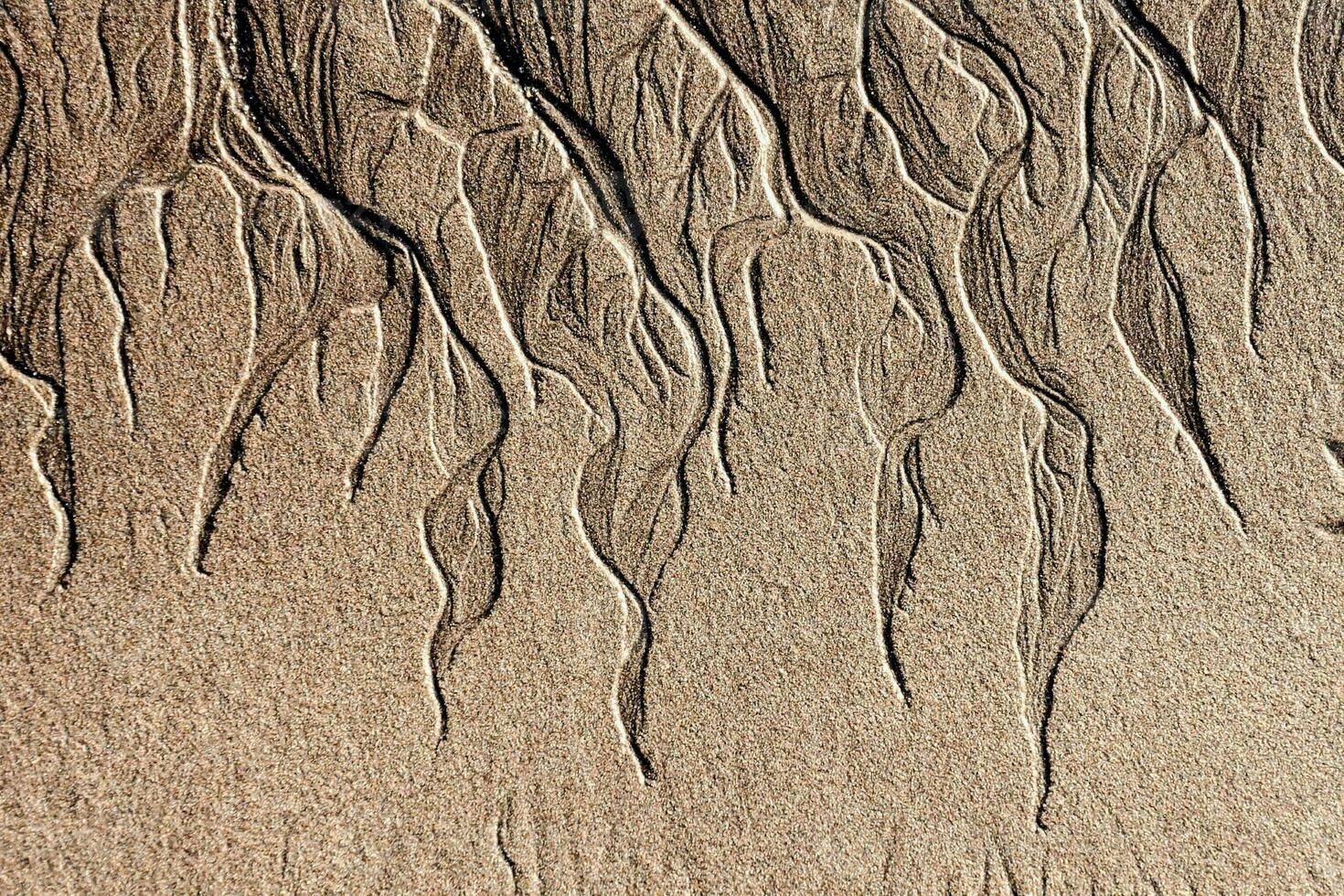 een dichtbij omhoog van zand patronen foto