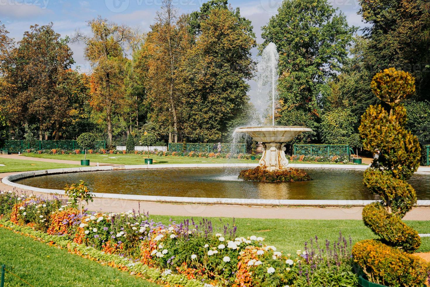 mooie fontein op een zomerse dag. heldergroen park met bloeiende bloemen foto