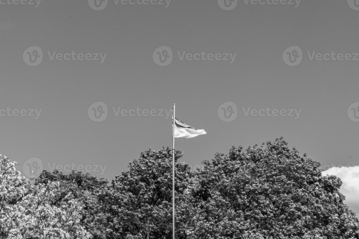 fotografie Aan thema nationaal oekraïens vlag in vredig lucht foto