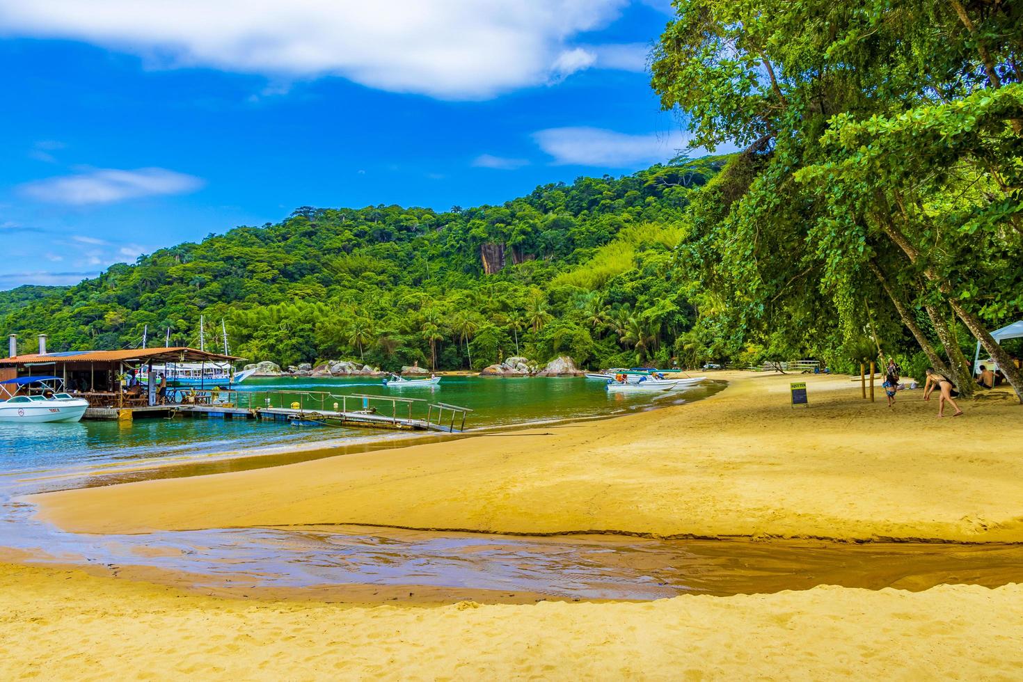 grande rio de janeiro, brazilië, 23 nov 2020 - mangrove- en pousostrand foto