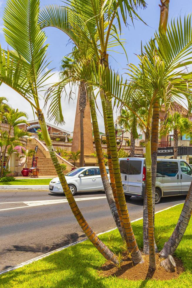 tenerife, spanje 2014- palmen, kokospalmen op straat en resorts op het canarische eiland tenerife, afrika foto