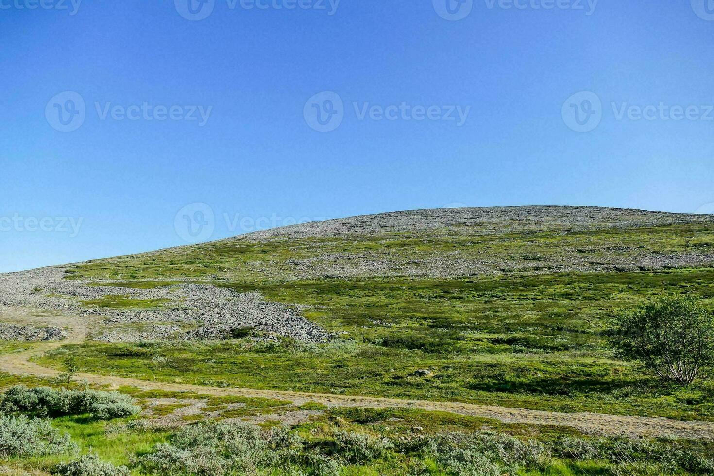 een groen heuvel landschap foto