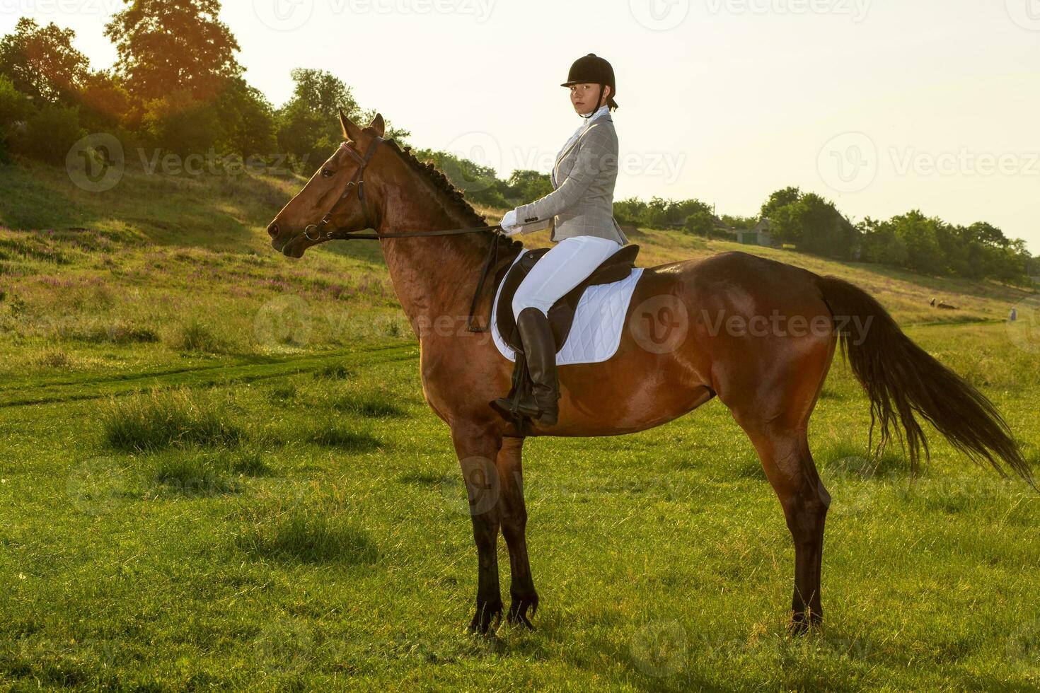 jong vrouw rijden een paard Aan de groen veld- foto