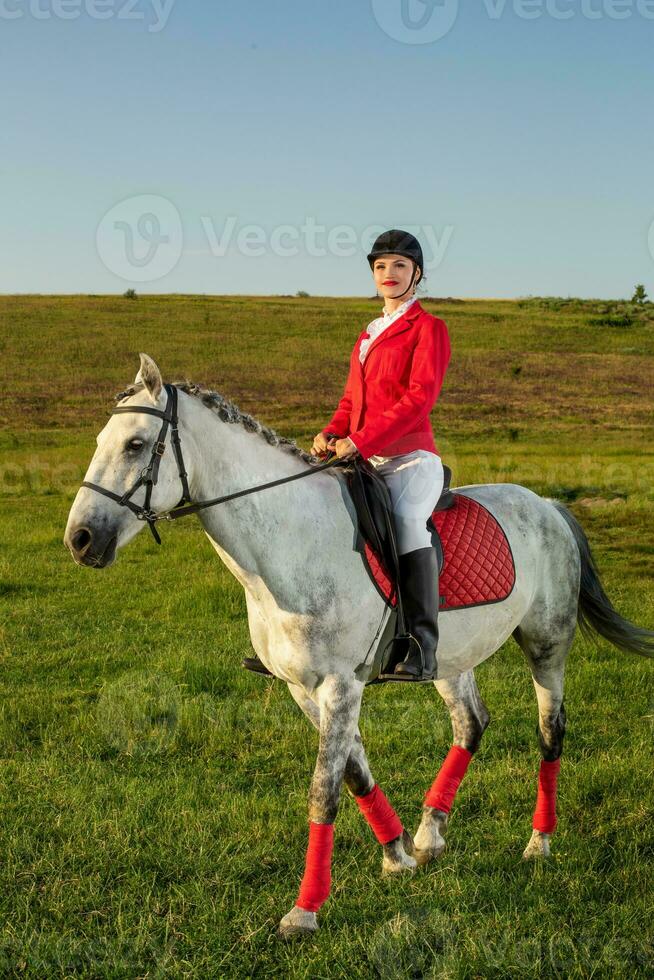 jong vrouw rijder, vervelend rood redingote en wit rijbroek, met haar paard in avond zonsondergang licht. foto