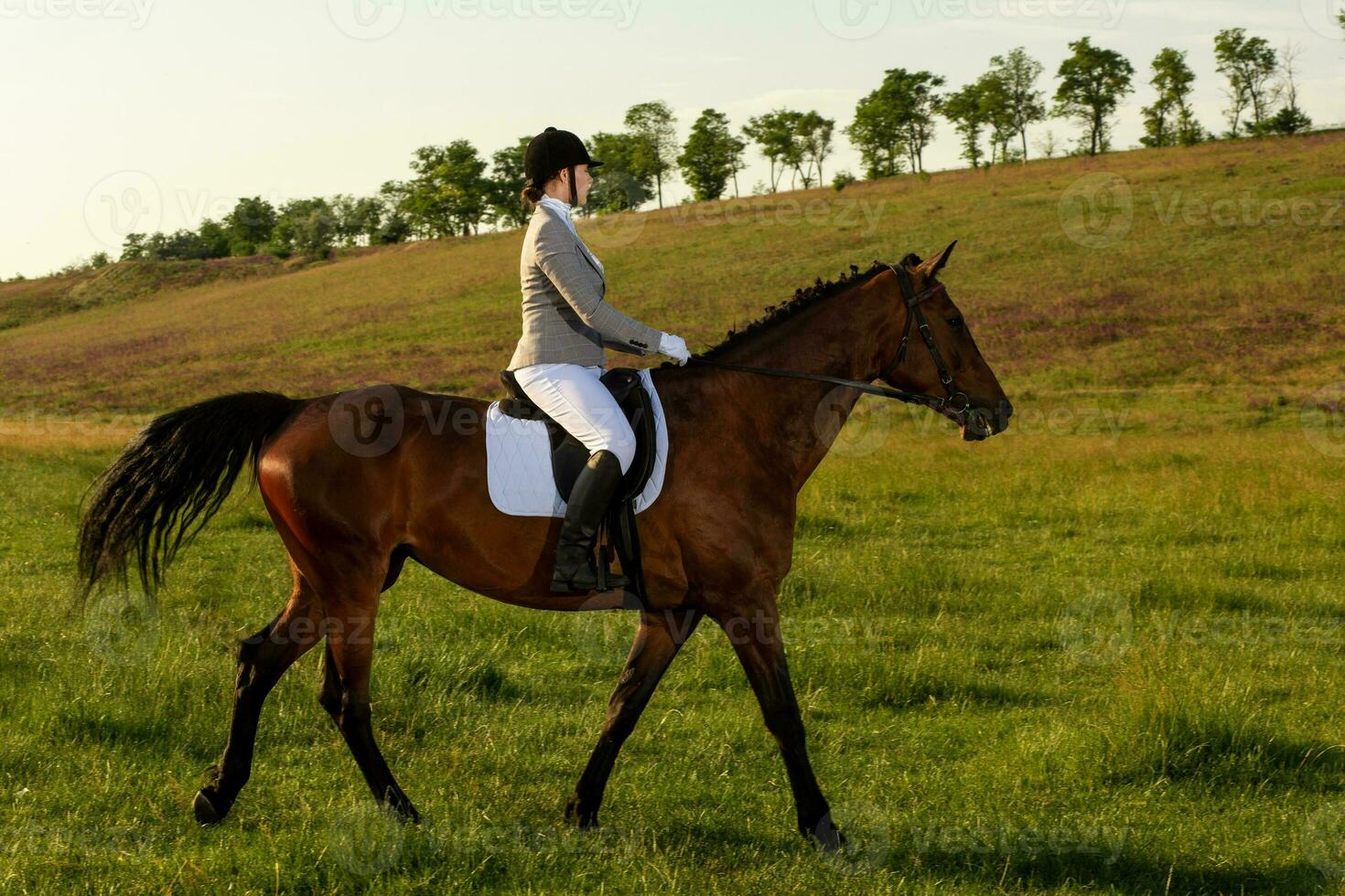 jong vrouw rijden een paard Aan de groen veld- foto