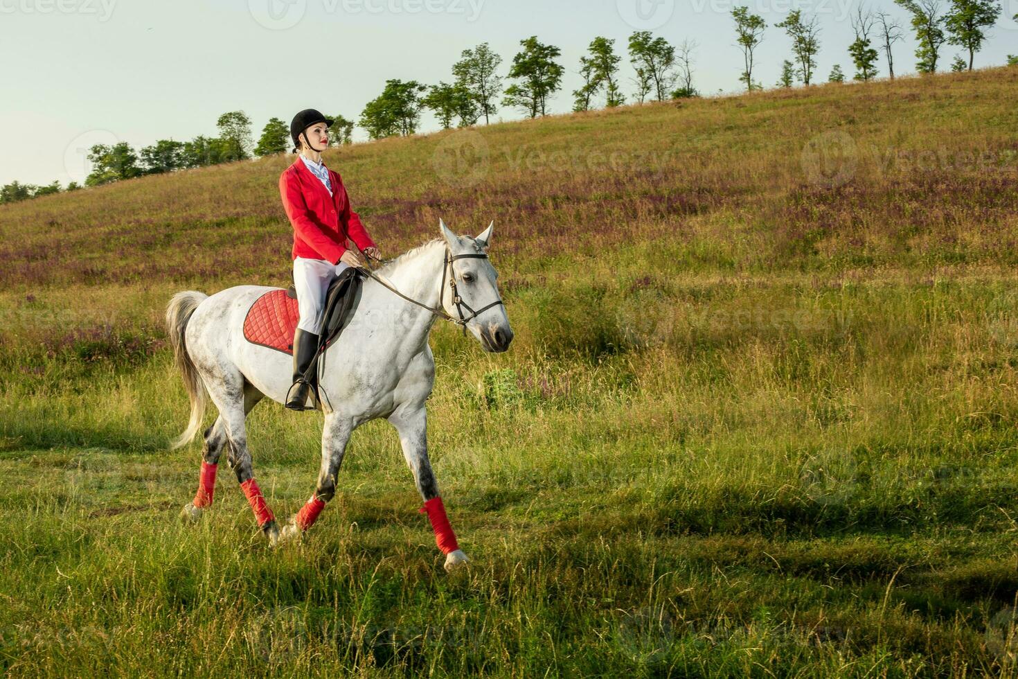 de amazone Aan een rood paard. paard rijden. paard racen. rijder Aan een paard. foto