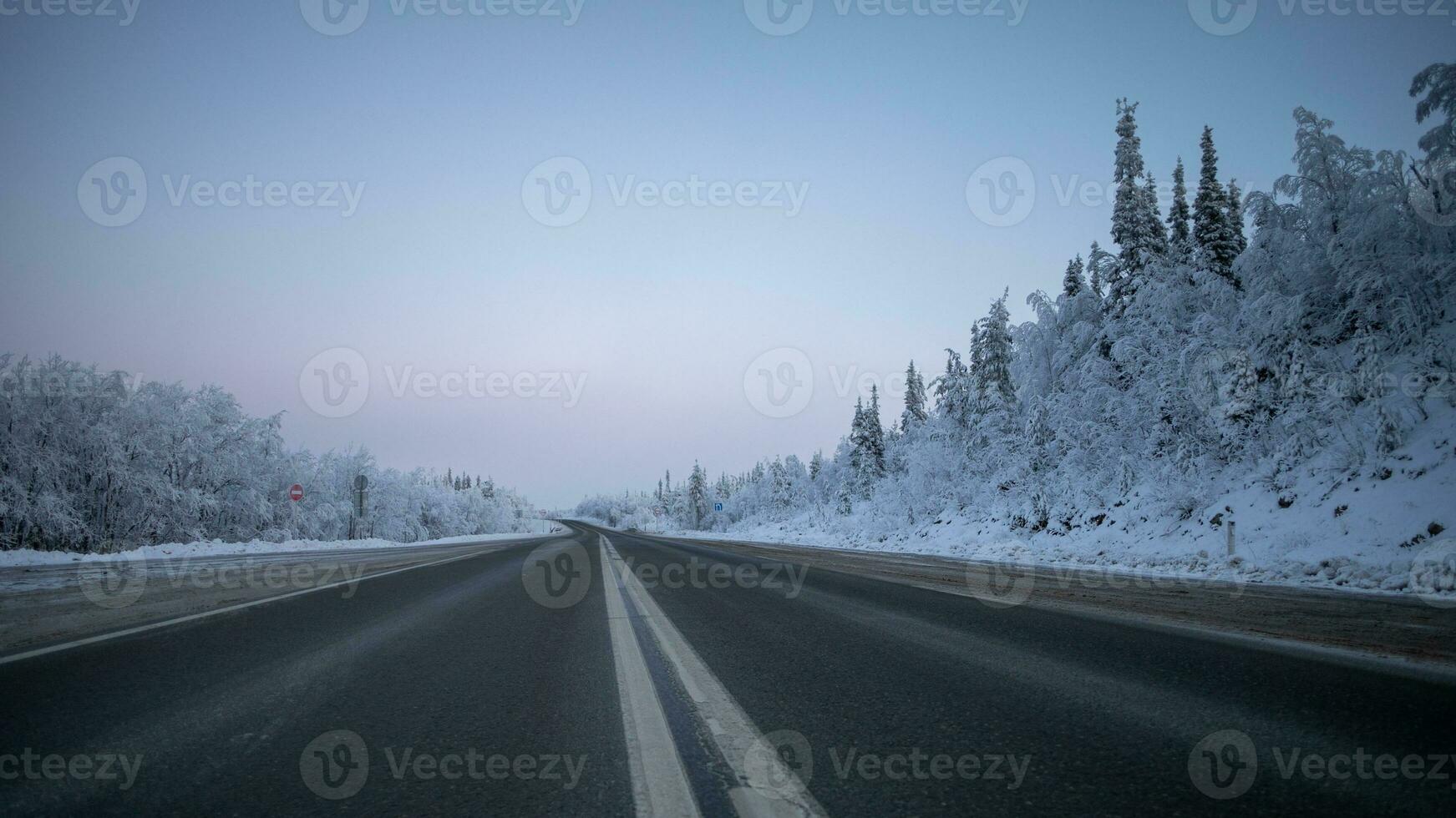 ai gegenereerd winter snelweg, besneeuwd bosbouw eenzaamheid foto