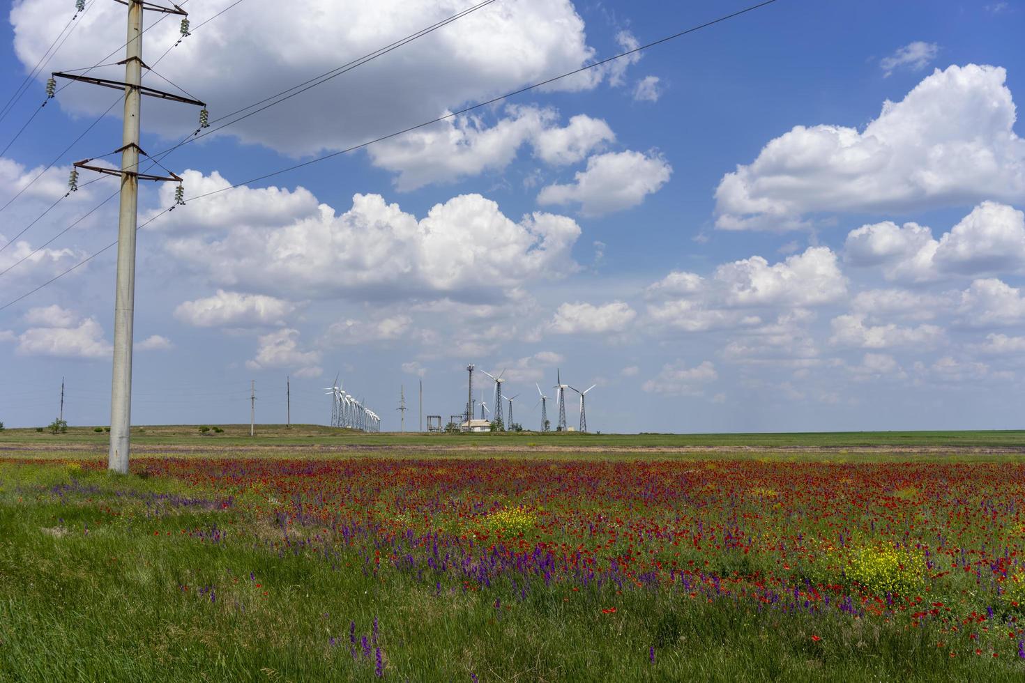 landschap met uitzicht op een veld en een windpark foto