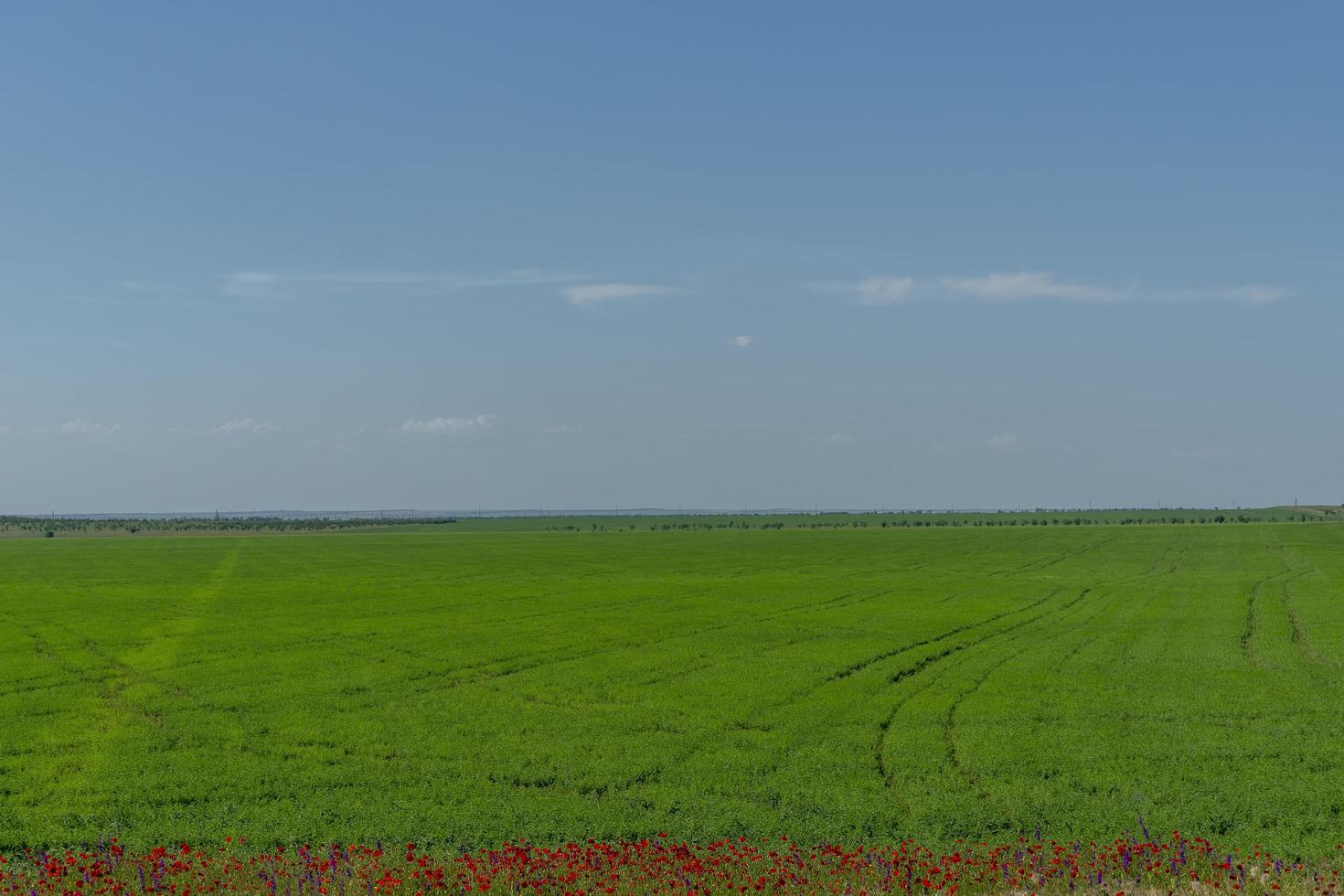 natuurlijk landschap met een groen veld onder een blauwe lucht foto